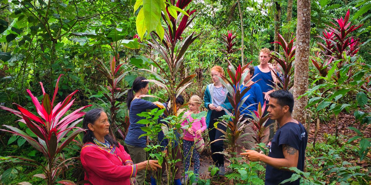 Amupakin medicinal plants garden