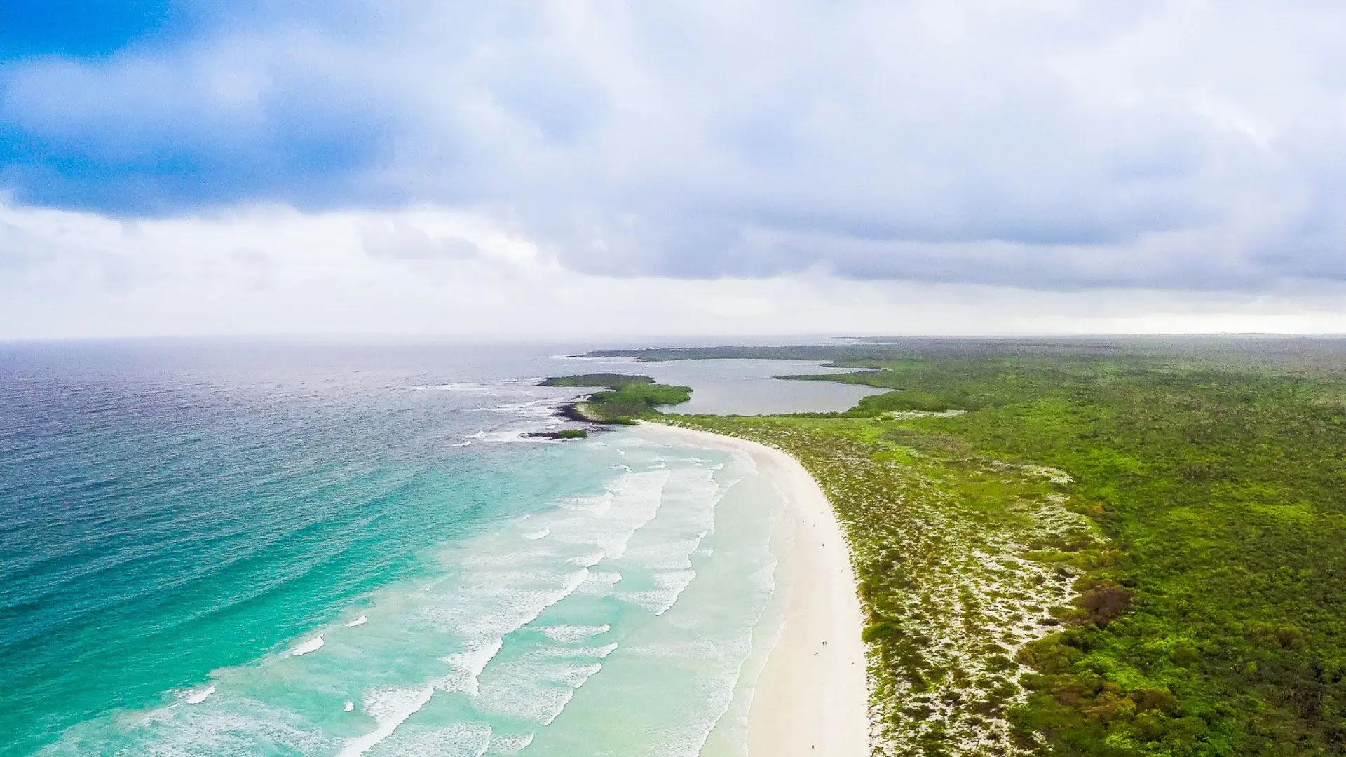 Tortuga Bay Beach | Galapatours