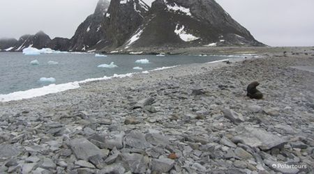 Astrolabe Island