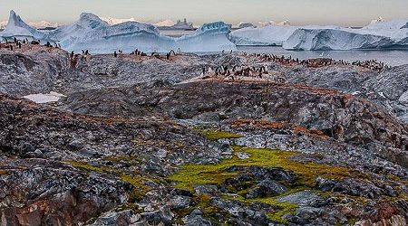 Antarctica Visitor Site- Yalour Islands