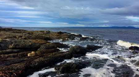 Punta Arenas