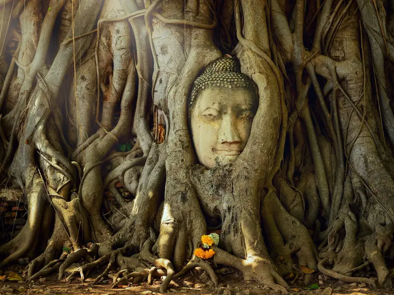 Ayutthaya