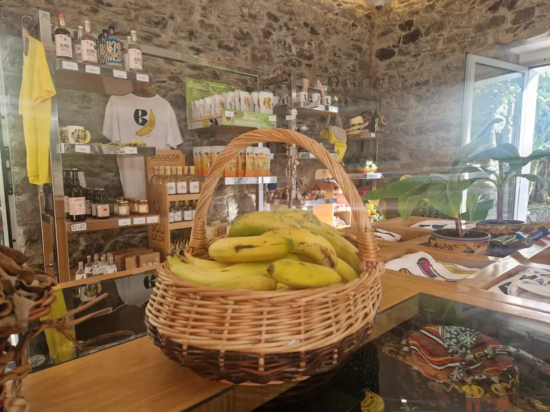 BAM Center Madeira – Bananenmuseum und Banana da Madeira entdecken