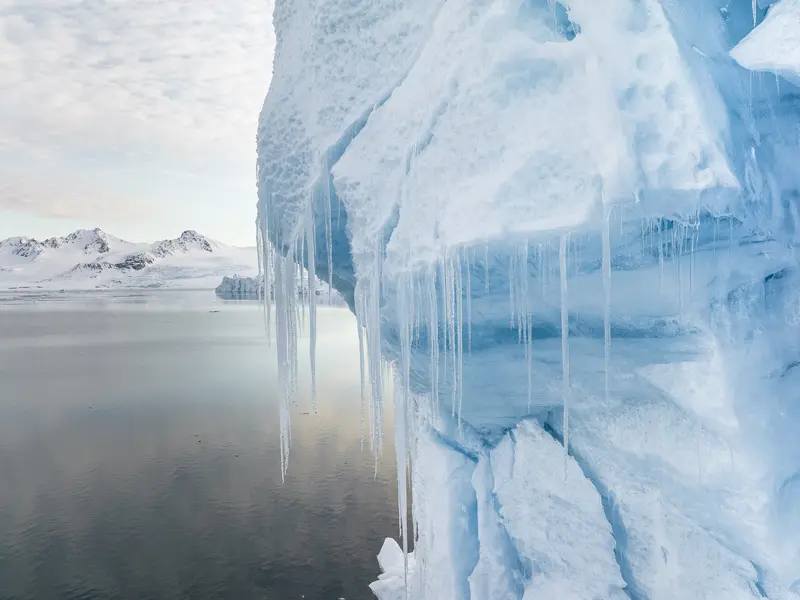 Freya: Svalbard Spring Photo Tour Lite with Piet van den Bemd | Polartours