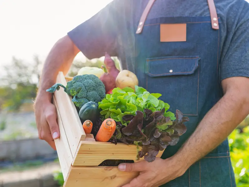 SAPIO - biologisch und biodynamisch genießen auf Reisen