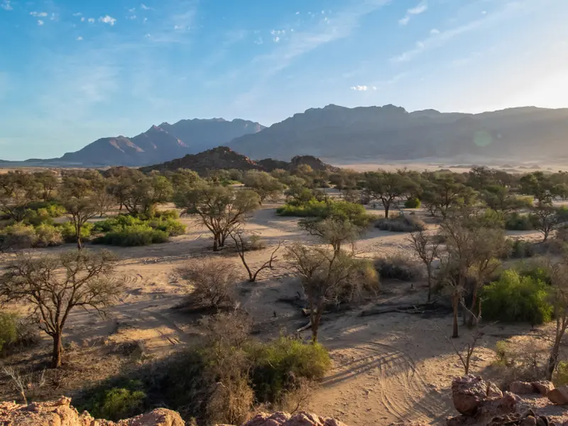 Namibia Sehenswürdigkeiten: perfekt für einen Roadtrip!