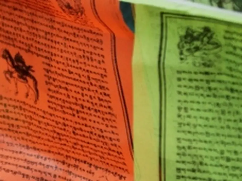 Warum uns Ihre Meinung wichtig ist