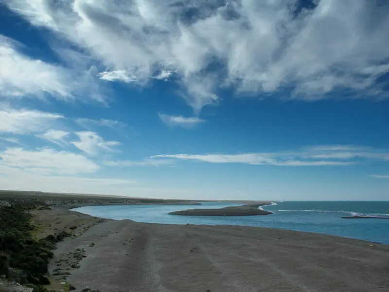 Réserve de Punta Tombo Argentine - Explorez le havre des pingouins