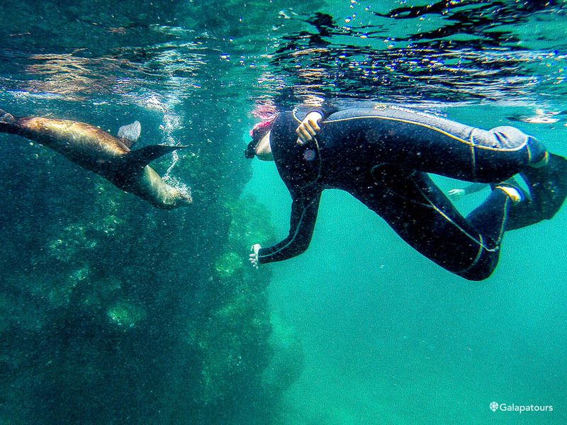 Isla Lobos Dive Site | Galapatours