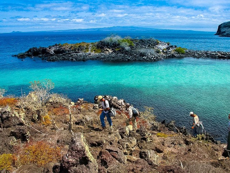 Pinzón Island Galapatours