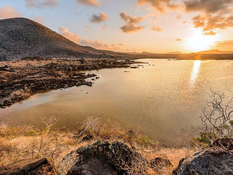 Cormorant Point Galapatours