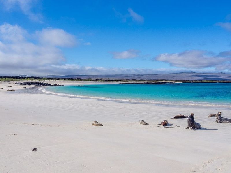 Isla Lobos: Your Ultimate Galapagos Adventure Destination - Getting to Isla Lobos