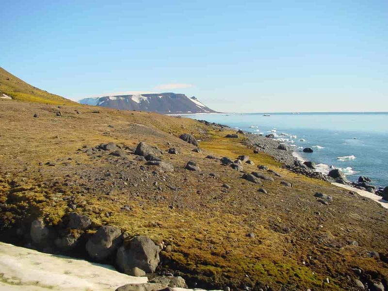 Jackson Island Polartours