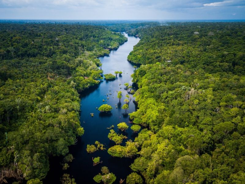 Reise in der Amazonas mit Viventura